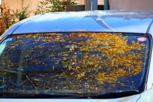 阿邪訶根神社の自然