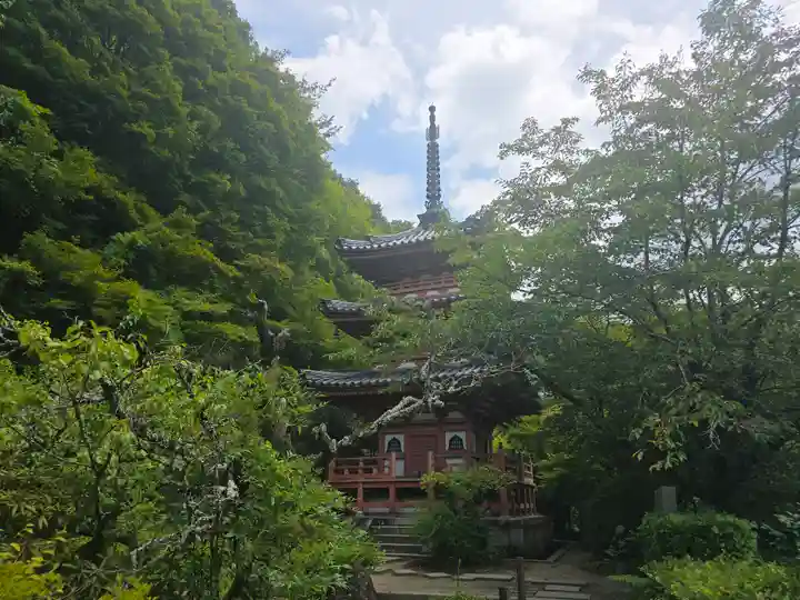 三室戸寺(京都府)