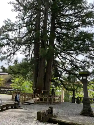 戸隠神社中社(長野県)
