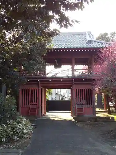 南蔵院(東京都)