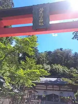 朝日に照らされた大鳥居。（逆光ですが・・・）