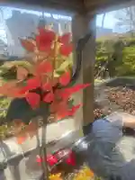 釧路一之宮 厳島神社の手水舎