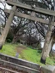 赤嵜神社の鳥居