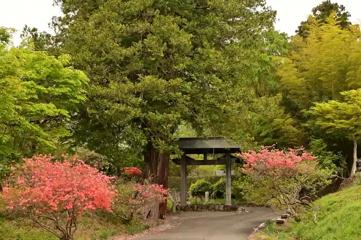 赤城神社(三夜沢町)(群馬県)