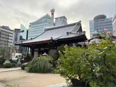 浜本山　源光寺(大阪府)