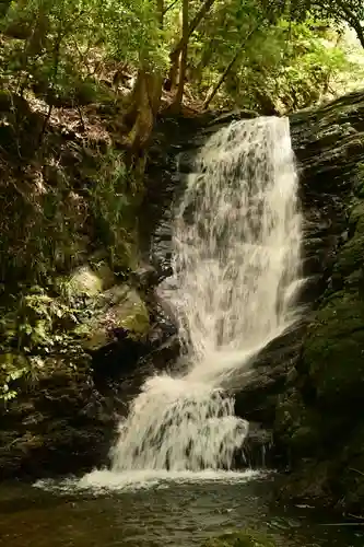 悲願寺(徳島県)