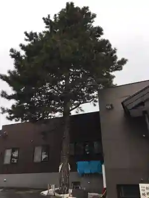 手稲神社のその他建物