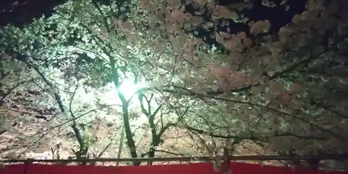 平野神社(京都府)