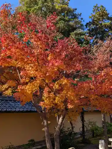 西明寺(滋賀県)