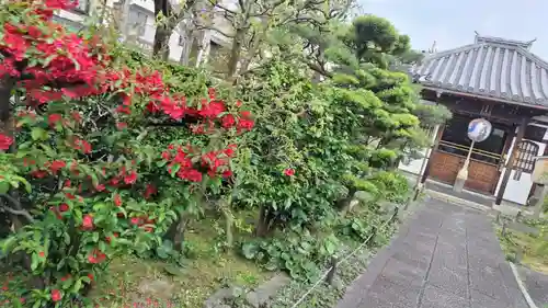 祐正寺(京都府)