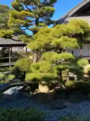 十輪寺の庭園