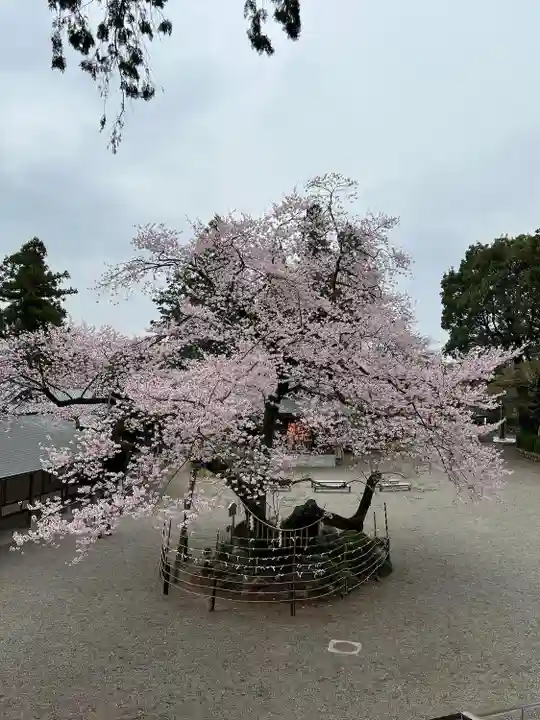 高麗神社(埼玉県)