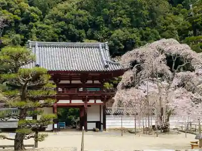 金剛寺の山門・神門