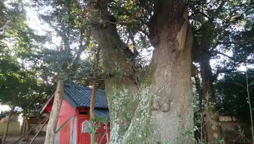 塙神社の自然