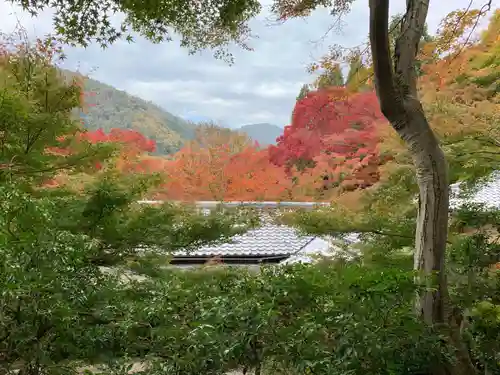 光明寺瑠璃光院の景色