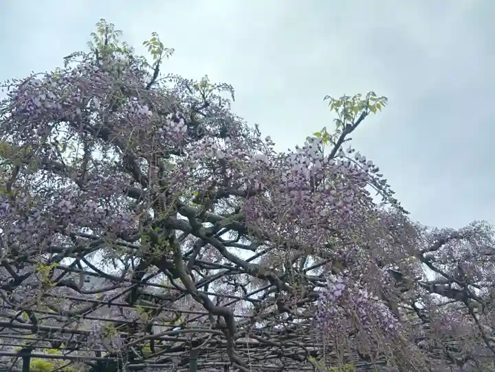 竹鼻別院(岐阜県)