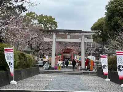 富士山本宮浅間大社(静岡県)