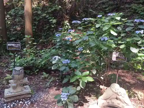 鷲子山上神社(栃木県)