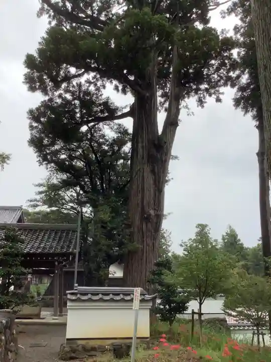 西明寺のその他建物