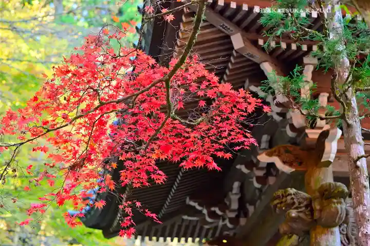 最乗寺(道了尊)(神奈川県)