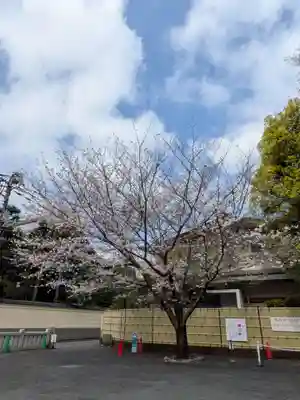 阿佐ヶ谷神明宮(東京都)