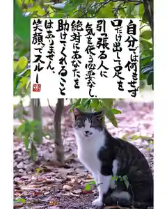 専念寺(大阪府)(2022年06月23日(木) 22時40分42秒投稿)