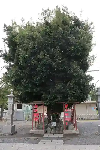 白山神社（二子町）(愛知県)