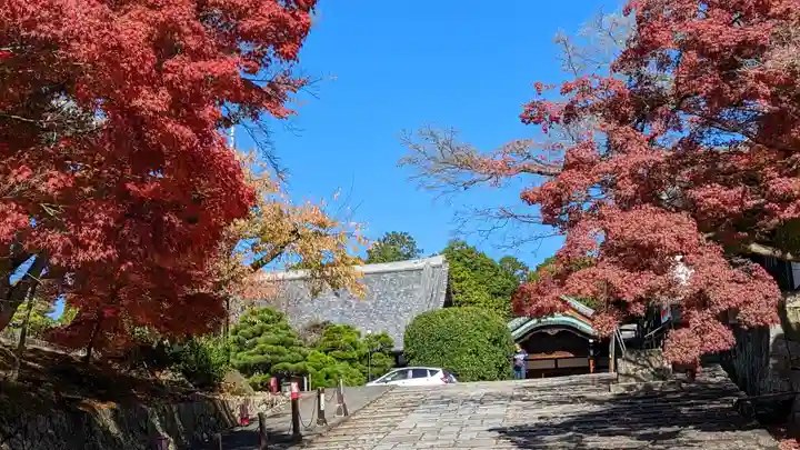 くろ谷 金戒光明寺(京都府)
