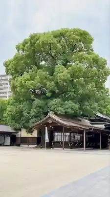 佐嘉神社・松原神社(佐賀県)