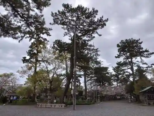焼津神社(静岡県)