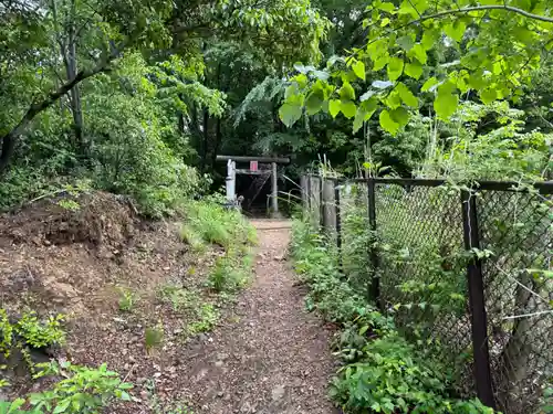 浅川金刀比羅神社 の鳥居