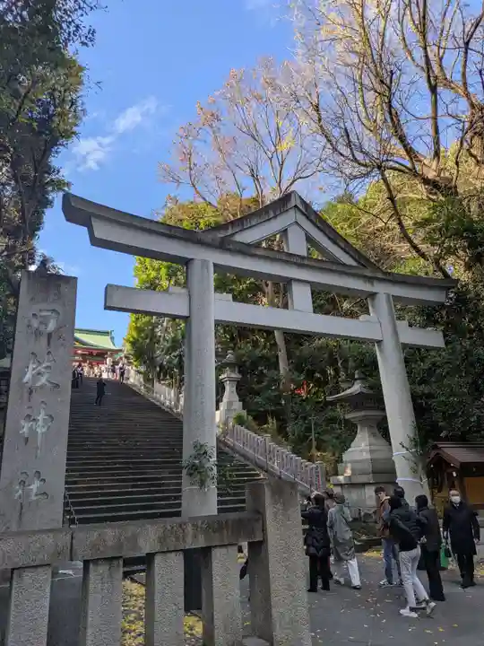 日枝神社(東京都)