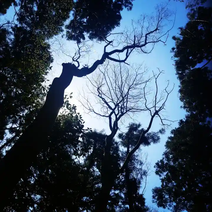 鹿島神宮の自然