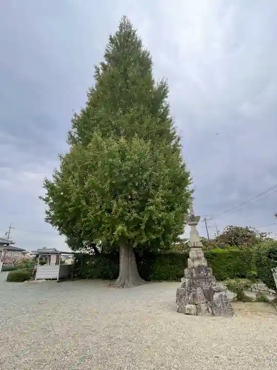寶蔵寺(射和寺)(三重県)