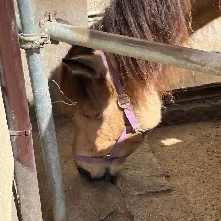 吉川八幡神社(大阪府)