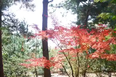 仁和寺(京都府)