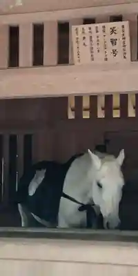 伊勢神宮外宮（豊受大神宮）(三重県)