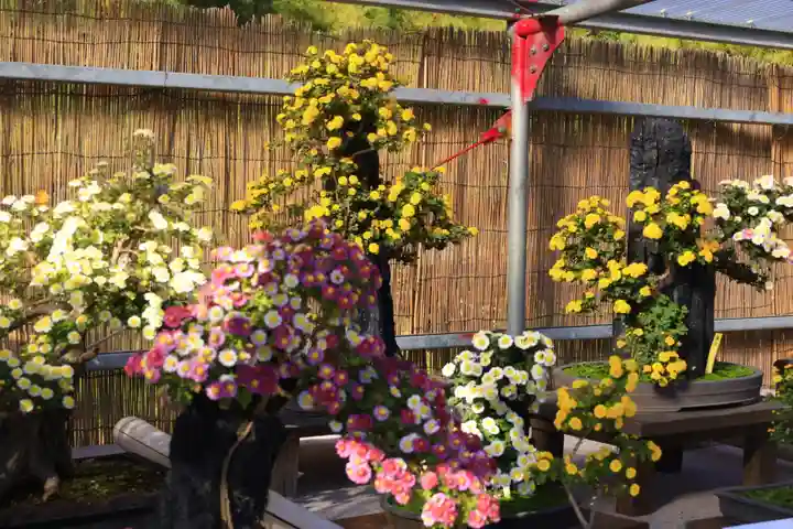 橿原神宮(奈良県)