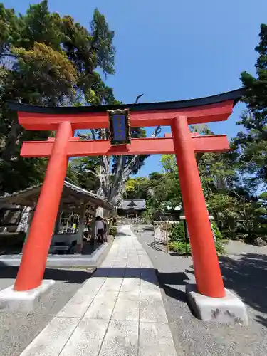 伊古奈比咩命神社の鳥居