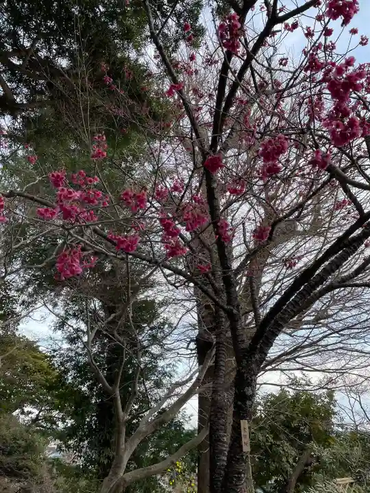 長谷寺(神奈川県)