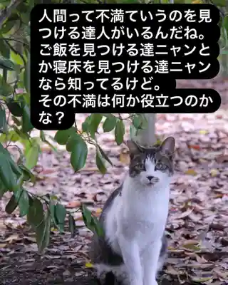 専念寺(大阪府)