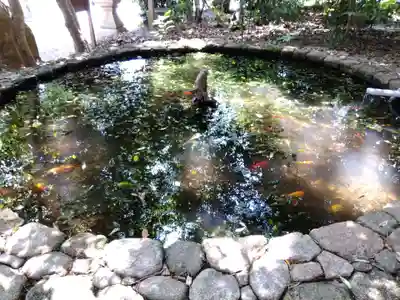 越木岩神社(兵庫県)