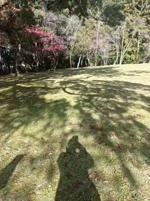 熊野本宮大社(和歌山県)