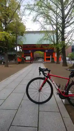 葛飾八幡宮の山門