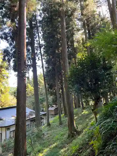 大宮温泉神社(栃木県)