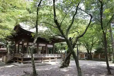 金崎宮の本殿・本堂