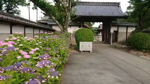 性海寺の山門