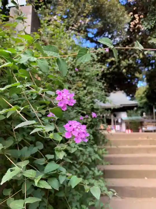 太子堂八幡神社(東京都)