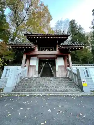 達磨寺(群馬県)