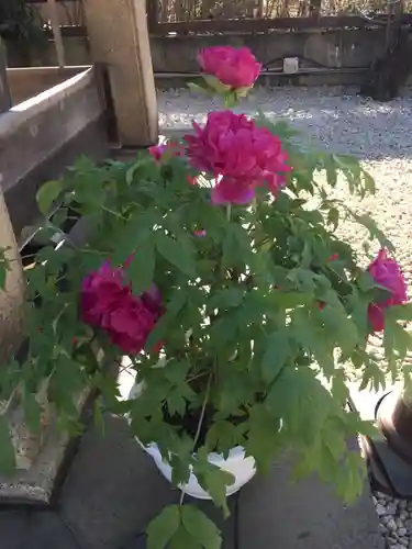 上野東照宮(東京都)